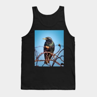 Common starling Tank Top